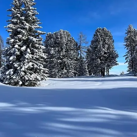 Ortner Am Kreischberg Appartamento