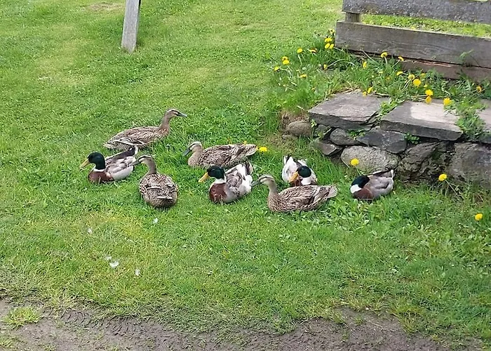 Ortner Am Kreischberg Appartement Sankt Lorenzen ob Murau