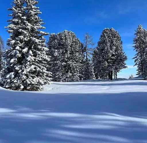 Ortner Am Kreischberg Appartement